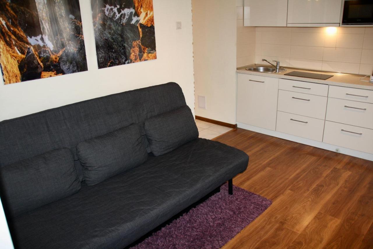 Apartament Kasztanowy Zakopane